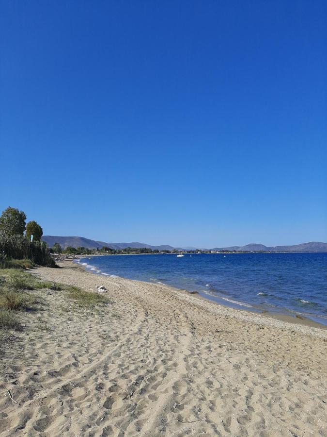 Cozy Flat In Nea Makri Apartment Екстериор снимка