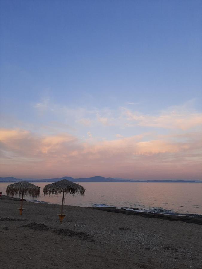 Cozy Flat In Nea Makri Apartment Екстериор снимка