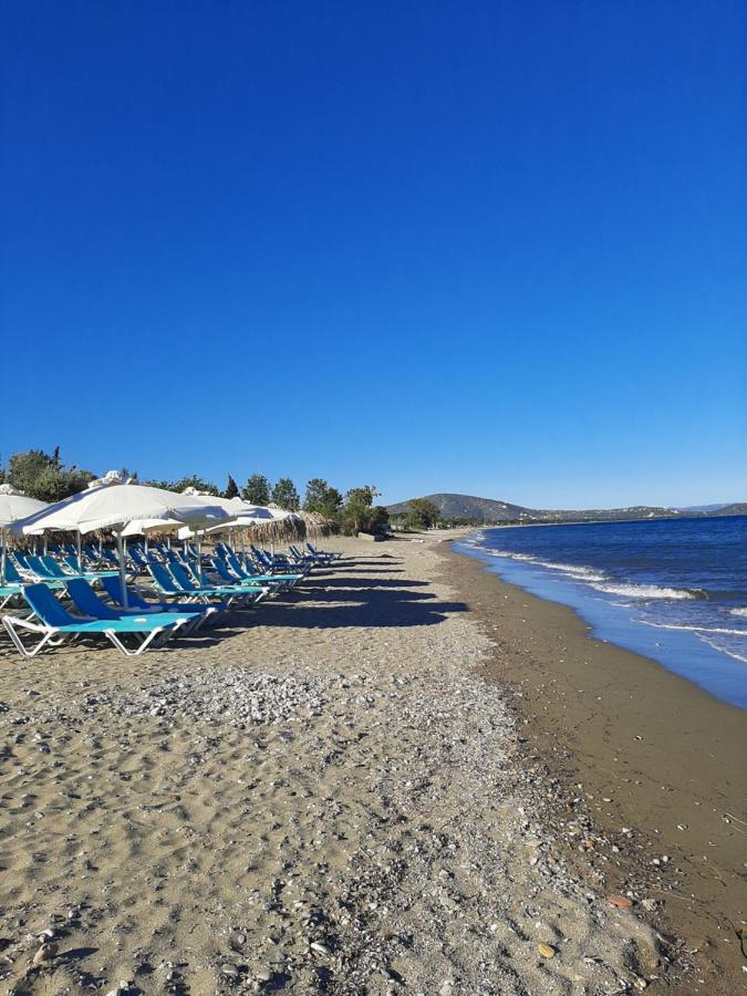 Cozy Flat In Nea Makri Apartment Екстериор снимка